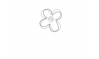 Heilala Vanilla